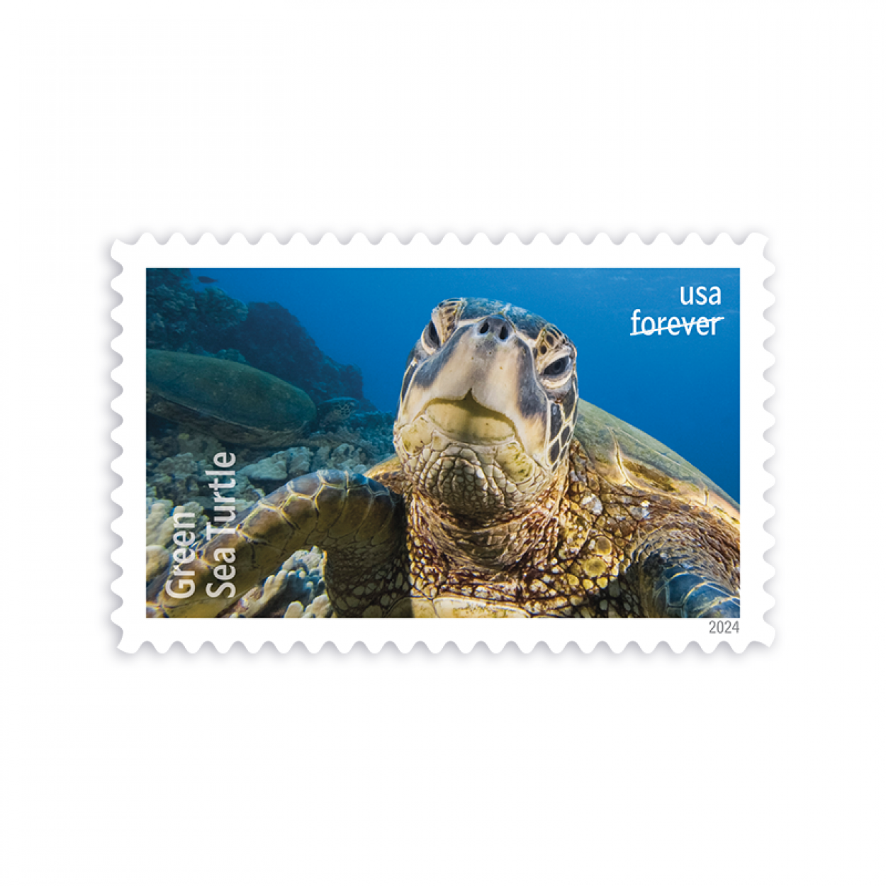 (2024) Protect Sea Turtles Stamps