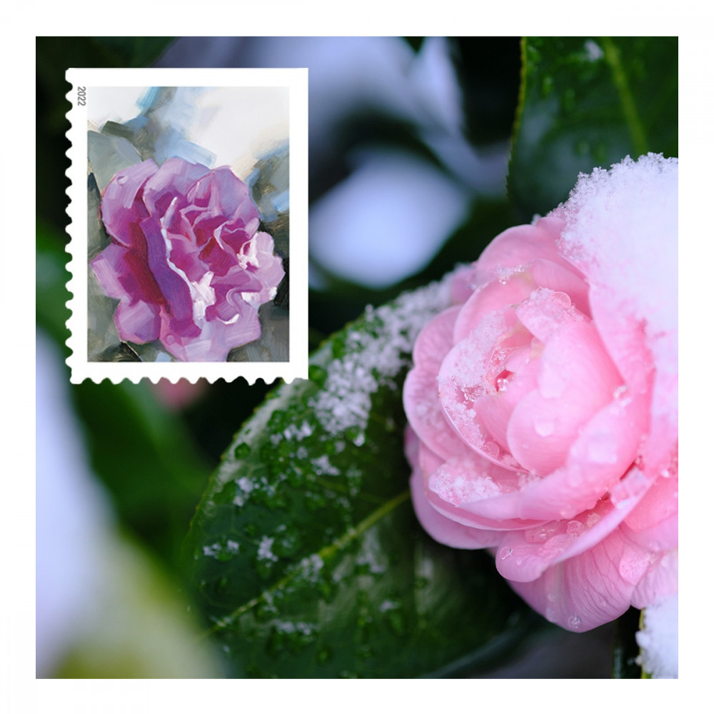 (2022) USPS Snowy Garden Beauty Forever Postage Stamps